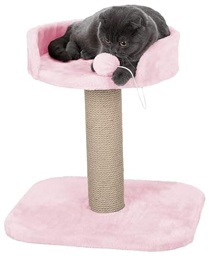 Activity Kitten Cat Tree - Hanging Ball | Top Seat | Jute Rope Scratching Post (Height 16 Inch) (Green)