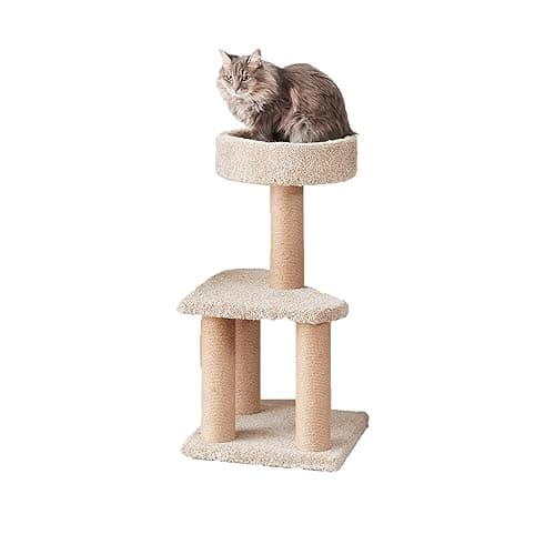 Amazon Basics Cat Activity Tree with Scratching Posts, Medium