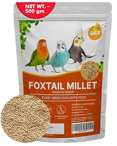 BOLTZ Foxtail Millet (Kangni Seeds), Premium Bird Food for Canaries, Finches, Waxbills, Budgies, Lovebirds, Cockatiels (500Gm(Pack of 1))