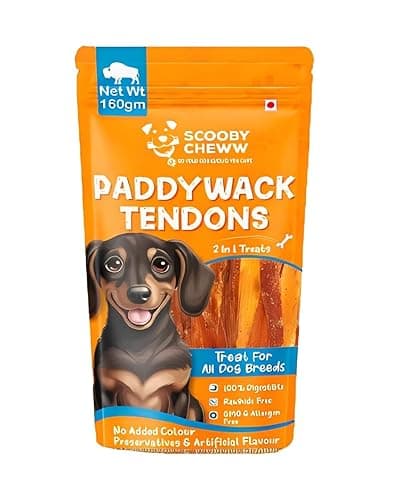 Buffalo Neck Tendon Paddywack Dog Snacks | 100% Natural, Rawhide-Free 2-in-1 Jerky Chew Stick | High Protein, Long-Lasting Treat for All Breeds | 160 G (150 G Pack of 1),All Life Stages
