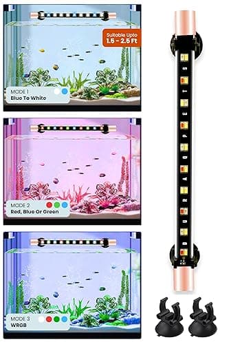 Buraq Multi-Color LED Aquarium Light, Waterproof, Energy-Efficient, WRGB Multi-Color Modes, Submersible Aquarium Lights for Fish Tanks (Upto 2.5 Ft Tank), Glass
