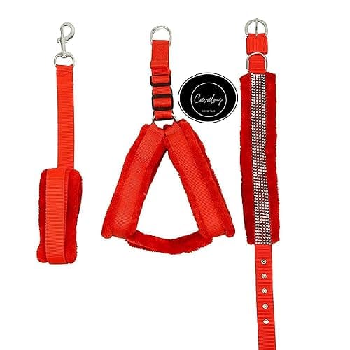Cavalry's Dog Collar Leash Harness Combo Set (Large, Red)