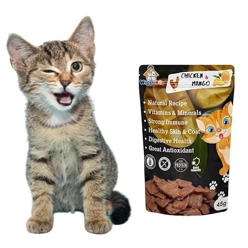 Chicken & Mango Cat Treat | Protein Rich | Fiber Rich | Crunchy Healthy Snacks (45 Grm)