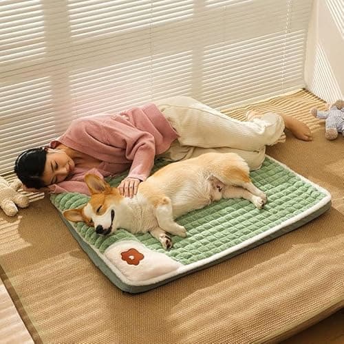 Divik Dog Bed Mat with Pillow - Comfortable and Washable Pet Sleeping Pad - Dog Mat for Small, Medium, Large Dogs & Cats - Dog Sleeping Bed with Non-Slip Base for Indoor Use (1Pcs)