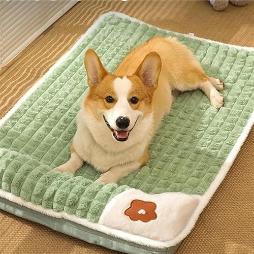 Divik Puppy Mat, Washable Dog Bed for Medium Dogs, Soft Warm Cat Bed Mat Pad with Style Pillow - Thick Memory Foam Soft Pet House Bed for All Seasons for Small and Medium Dogs (1Pcs)