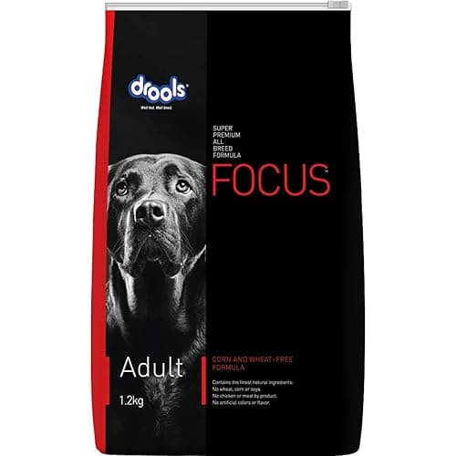 Drools Focus Premium Adult Dry Dog Food 1.2kg Pack | Chicken Flavour | Growth & Intelligence | Digestive Health | Healthy Skin & Coat | Improves Immunity