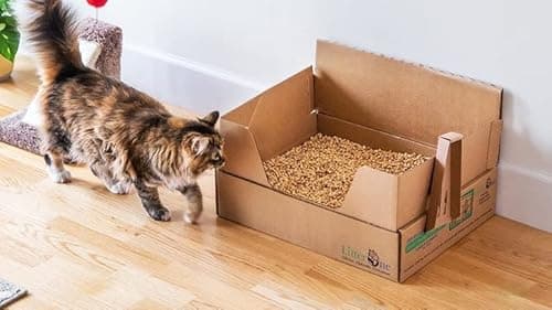 Elysian Wood Cat Litter | Natural Wood Cat Litter | Cat Litter Wood Pellet - 5Kg