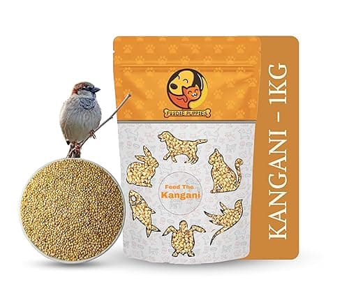 Foodie Puppies Foxtail Millet Kangni Seeds Bird Food - (1Kg, Pouch), High-Fiber Balanced Nutritious Daily Diet for All Bird Types