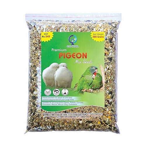 G1E Hand-Selected Seed Mix for All Life Stages Dry Bird Food for Large Birds (900 Grams, Large Birds Mix)