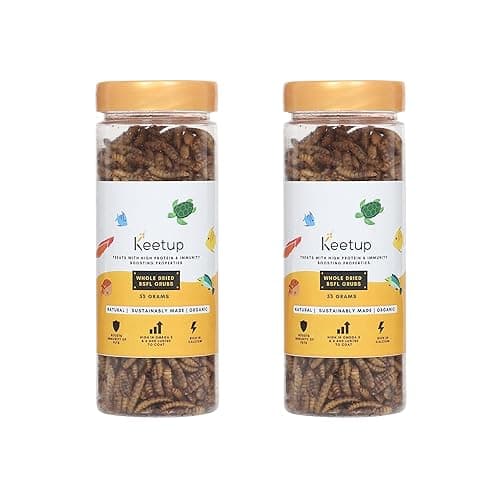 KEETUP Dried Black Soldier Fly Larvae Treat Fish Food (55 Gram) For Arowana Oscar, Flowerhorn & Other Carnivorous Fishes Omega 3 & 6, 50X More Calcium Than Worms Pack Of 2, All Life Stages