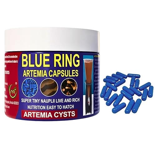 MAF Imported Blue Ring Artemia Cyst Capsules 10 + 2 Free, Premium Brine Shrimp Eggs Capsules 95% Hatching in 24 Hours (12 Capsules), Ideal Live Food for All Fresh and Marine Fish Fries