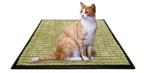MATS AVENUE DOOR MATS AT YOUR DOOR STEP Cat Scratch Mat Claw Pad and Sleeping Mat Large Natural Coir and Rubber Brown Color, 45x45 CM Set of 1 with 5 Grams Catnip Dried Leaves