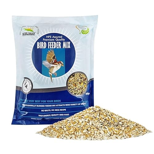 Nature Forever Bird Seeds Feeder Mix For All Life Stages, Millet, 900g, 1 Piece, All breed sizes