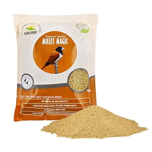 Nature Forever Millet Magic, 900 g