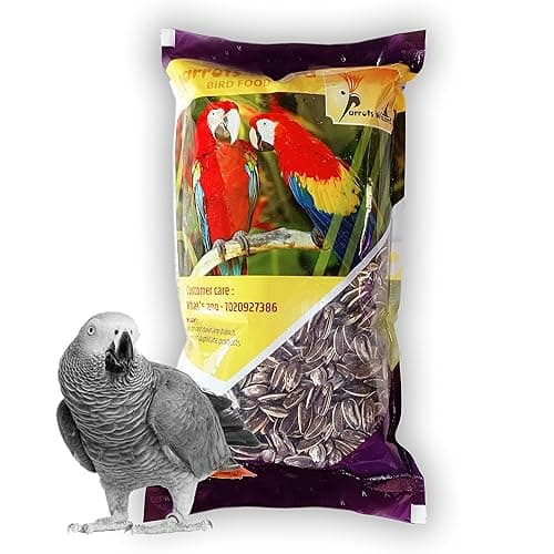 Parrots Wizard Adult Dry Bird Food Imported Large Size Sunflower Seeds For Gray Parrot;Indian Parrot; Macaw;Cockatoo And Exotic Birds (450G), 1 Count