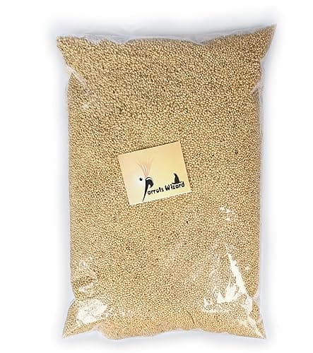 Parrots Wizard All Life Stages Dry Bird Food Small Size Kangni Seed Bird Food 950 Grams Pack of 2