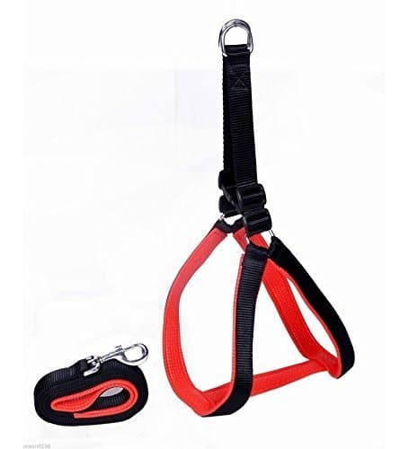 Paws for a Cause Soft Padded Body Set-Leash & Harness- Black - Large