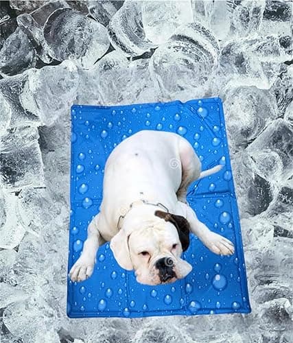 PetaHouse (New Size) Cooling Pad for Dog Large (50CM X 90CM)| Self Pressure Mat | Soft Bed for Pet with Activated Heat Relief Specially Designed for Large Breeds (Pack of 1)