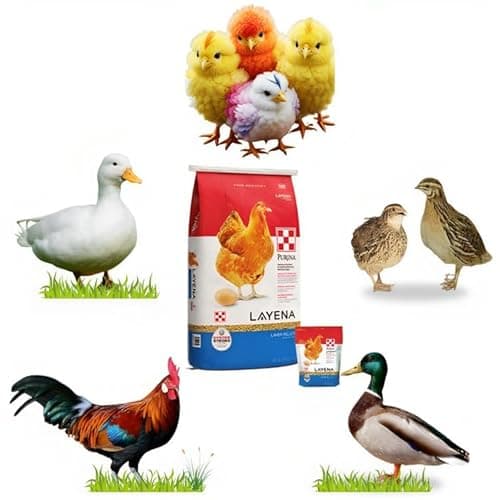 Pets Pro Food for Hen Duck Chicks Teetar Batair Feed 1Kg Teetar Batair Premium Bird Food Grower Baby Chicken, Chicks, Pellet Feed (Hen, Duck, BATER, EMU) (Feed 1 KG)