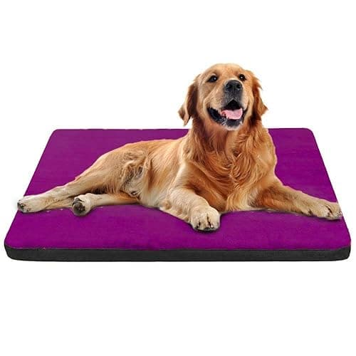 Petslover Dog Bed Crate Pad Dog Mat Mattress Pet Beds Foam Cushion with Washable Cover Anti-Slip (Small, Purple)