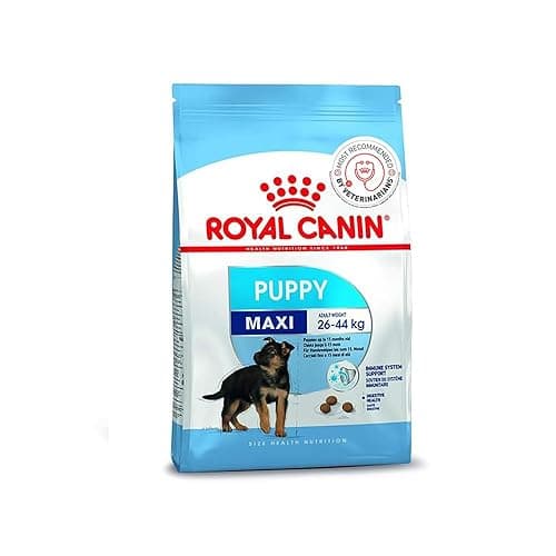 Royal Canin Maxi Puppy Food, Dry Food, Supports Immune System & digestive health, Provides Long growth, moderate energy, 4 Kg