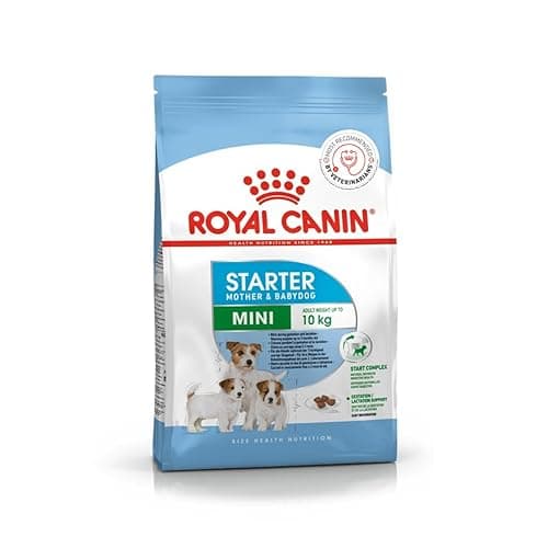 Royal Canin Mini Starter, Mother & Babdog Food, 1 Kg, Dry Food, Supports Complex Natural Defence & digestive health, Provides Gestation/Lactation Support, Supports Easy rehydration