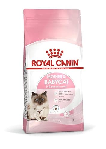 Royal Canin Mother & Babycat Food, 400 Grams, Dry Food, Provides Complete Support for Mother & Babycat Health, Supports Brain Development & Promotes a Strong Immune System