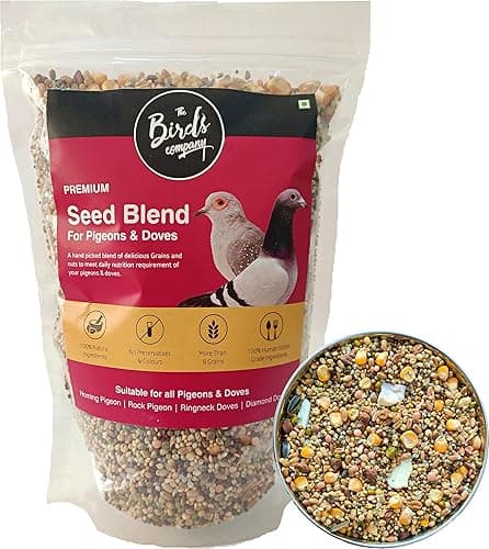 The Birds Company Premium Seed Blend of 8 Grains & Nuts, Fortified with Spirulina, Bird Food for Pigeons & Doves, 450 g