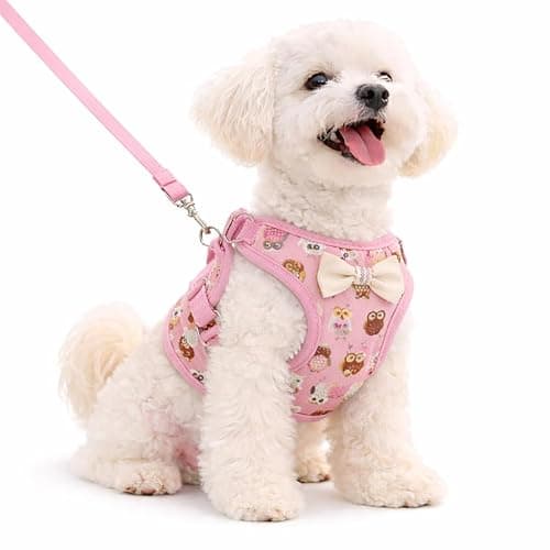 Tinyfingers Puppy Cotton Reflective Padded Harness & Leash Set for Small Dogs & Cats Adjustable no Pull Harness Set with Owl Print Pink, Small-(5.5kg-9 kg Dogs and Cats)