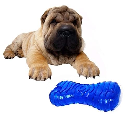 TPR Squeaky Bone Toy Chew Toy for Dogs & Puppies (Color May Vary)