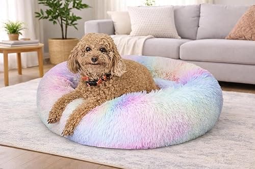 ZEXSAZONE Winter Calming Dog Bed & Cat Bed for Indoor Cats Medium Size Washable Anti-Slip Anti-Anxiety Donut Mat for Small Dogs & Fluffy Plush Cozy Round Dog Bed (Small Rainbow)