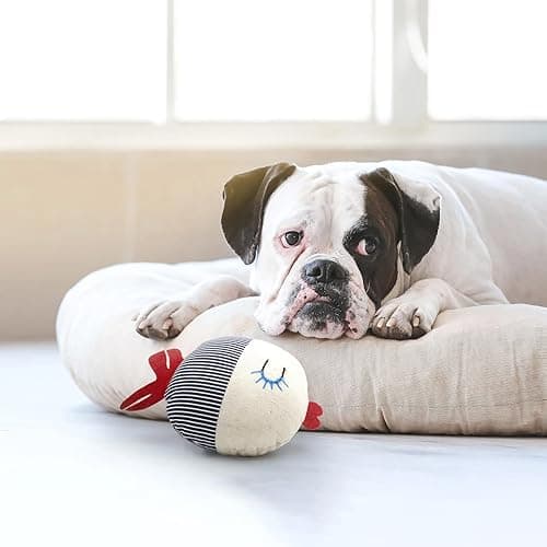 Bobber The Fish – Squeaky Plush Toy for Dogs, Puppies & Cats – Safe & Non-Toxic