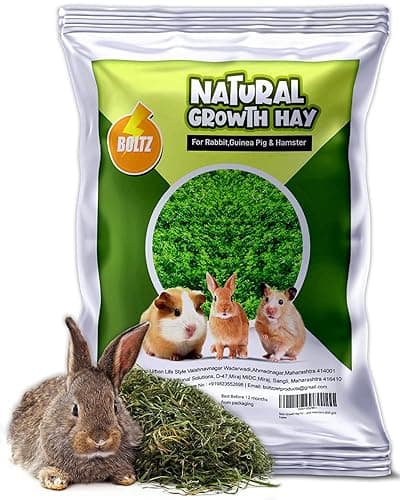 BOLTZ Growth Hay 600 gm for Rabbits, Guinea Pigs and Hamsters and Other Small Animals, Medium Size Hay for Daily Feeding, (600 Gm)
