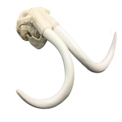 Club Bollywood®Creative Animal Head Skull Aquarium Decoration Elephant Head | Decorations| Decorations|Pet Supplies|• Pet Supplies|1Piece X Aquarium Ornaments