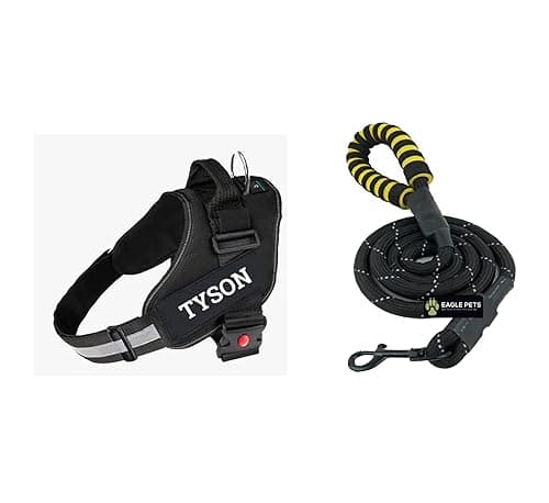 Customized Dog Vest Harness with Pet Name, Personalized Dog Belt with Dog Name, No Pull Harness Reflective Vest Harness Belt Adjustable (Black - Combo, Large)