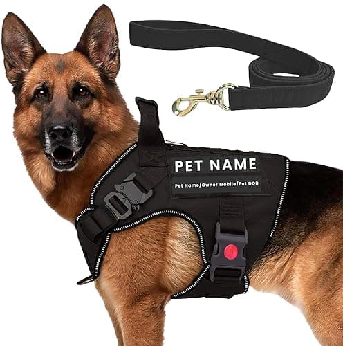 Customized Tactical Dog Harness with Leash | Dog Training Belt with Name | Adjustable Size for Medium Dogs | Recommended for 15-25 Kg Pet (Black, M)