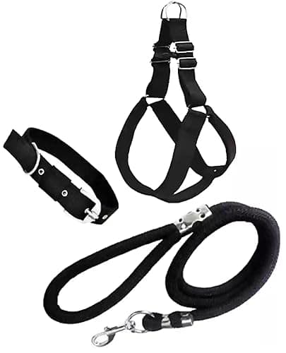 Dog Combo Pack of Harness, Neck Collar Belt and Rope Set (Black, Medium, Waterproof, Rope Size 1.5M-2M) (Blue)