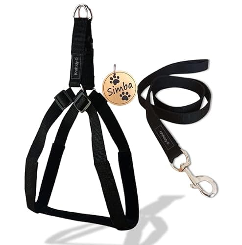 Dog Harness and Leash with Name tag id Customized for Dogs Large Medium Small Puppy All Breeds Neck Harness Belt and Leash Adjustable Harness with Personalized Dog Name (Black) (Medium)