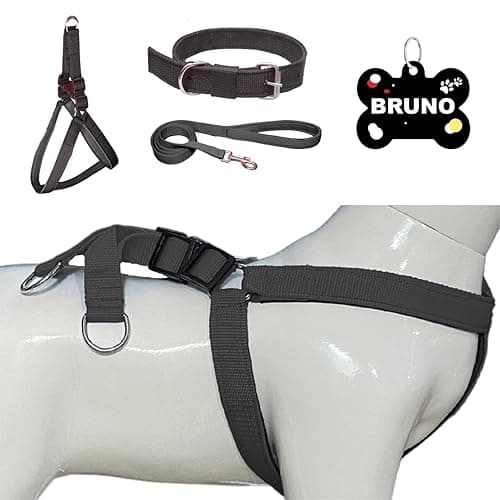 Dog Harness Collar Leash with Name ID Tag | Harness for Medium Dogs, Soft Padded, Adjustable | for 14-23 Kg Pet (M, Black)