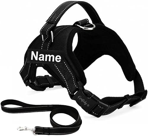 Dog Harness with Name id Customized for Dogs Small Puppy Medium Large All Breeds No Pull Harness Reflective Vest Harness Belt Adjustable with Personalized (Dog Name) (Orange) (Medium Dogs)