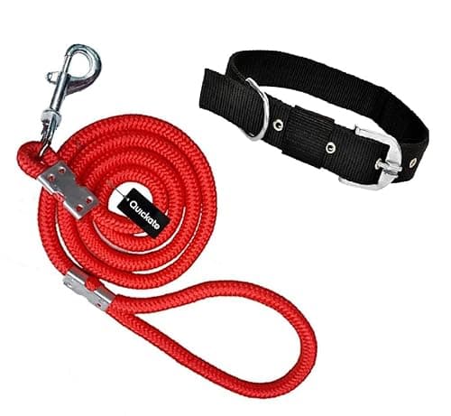 Dog Neck Collar Belts and Leash Set (Red Color, Medium, Nylon, Leash Size 1.5M-2M)