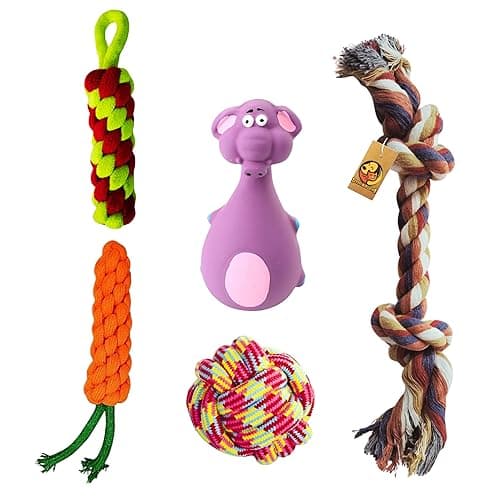 Foodie Puppies Dog Toys + Dog Chew Toys + Puppy Teething Toys + Rope Dog Toy for Small Dog and Puppies Toy + Dog Toy Combo Pack + Tug Toy + Dog Toy Set + Washable Cotton Rope for Dogs (Pack of 5)