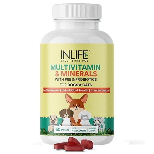 INLIFE Multivitamin for Dog Cat & Pets | Ginseng, Prebiotic & Probiotic Vitamin B12, C, D, E, Zinc & Biotin Supplement - 60 Tablets