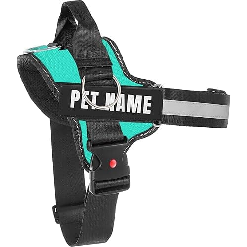 KIKA Pets Original Dog Harness with Custom Name Personalisation | Dog Vest Harness, Medium Size (for 13-20 kgs) Sea Green