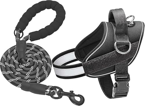 No Pull Dog Harness Adjustable Reflective Oxford Easy Control Medium Large Dog Harness with A Free Heavy Duty 5ft Dog Leash
