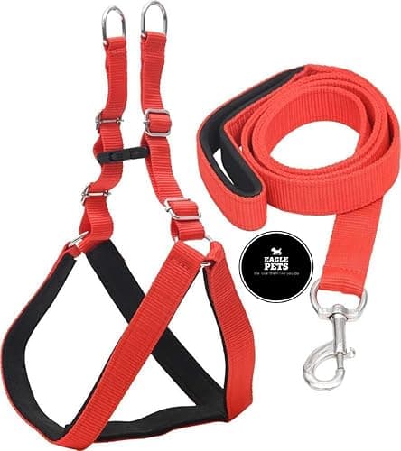 Nylon Padded Adjustable Dog Harness & Leash 1 Inch for Medium Size Pet (Chest Size : 24-29 Red & Black)