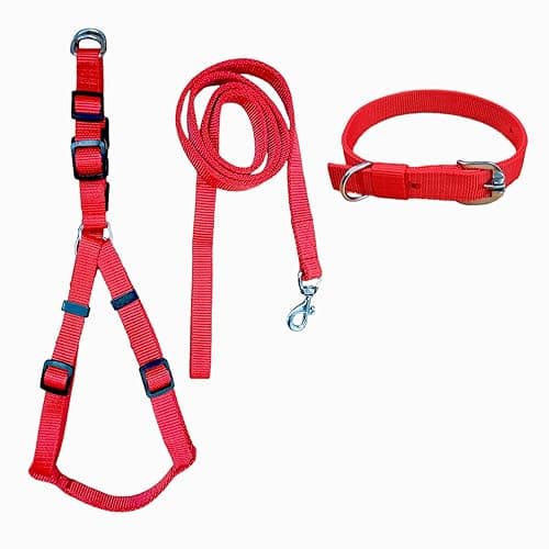 Pihupaws Dog Adjustable Soft Comfortable Nylon Training Walking Chest Body Belt Leash Set for Beagle, Street, Doodle, Indian spiltz(Collar, Harness, and Leash) (Medium, Red)