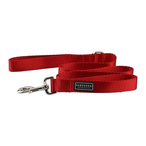 Polyester Dog Leash with Strong Hook | Training and Walking Long Dog Leash for Small to Medium-Sized Dogs (Red, M)