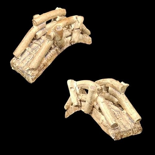 Premier Plants Aquarium Ornament for Aquarium Decoration Fish Tank Ceramic Simulation Arch Bridge Decor Landscape for Aquarium and Home Decoration (Pack of 2)