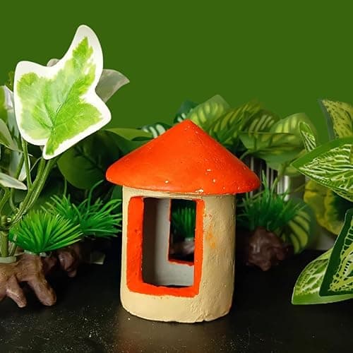Premier Plants Small Aquarium Décor Thematic Ornaments Hideaway House Fish Tank Decorations for Hideout Cave for Small and Medium Fishes Decoravtive Ornament for Aquarium (Small Shell House)